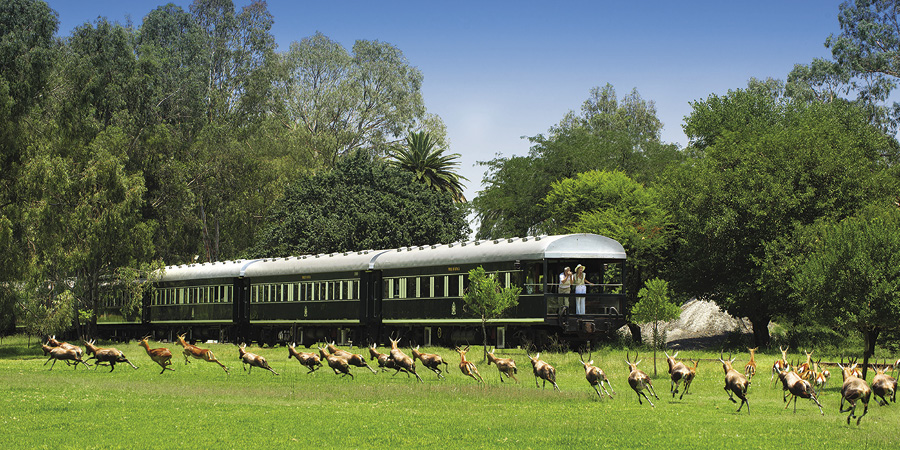 Spending two nights aboard Rovos Rail