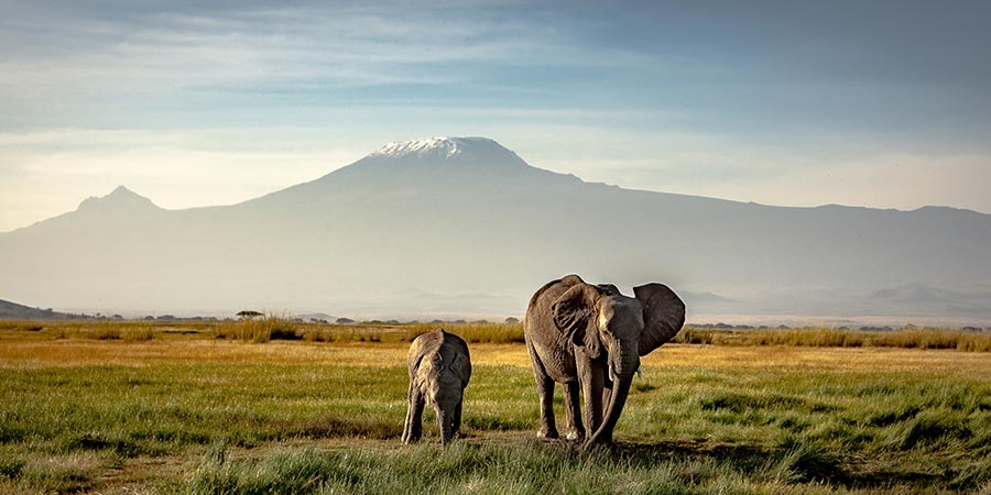 Mt Kilimanjaro Mt Kilimanjaro