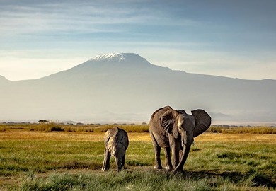 Mt Kilimanjaro Mt Kilimanjaro